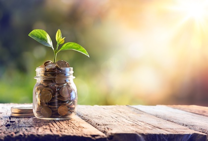 Plant Growing In Savings Coins – Investment And Interest Concept